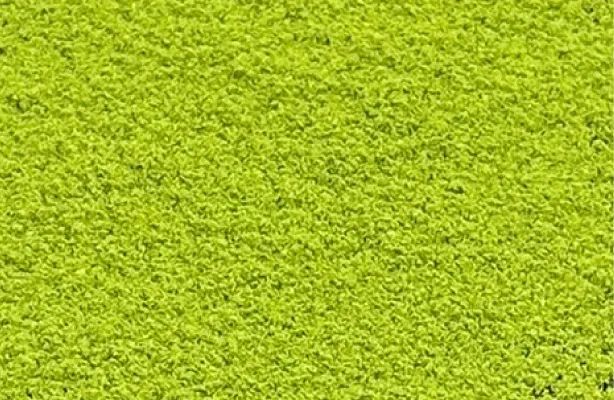 Nuttyシリーズの業務用抹茶パウダー